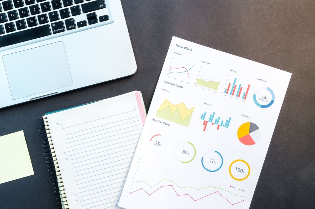 Analytics dashboard with charts and performance metrics